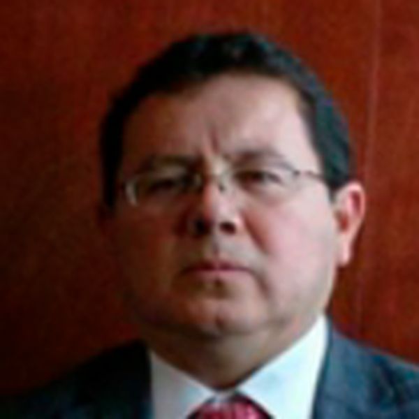 Mtro. Raúl Falcon Arce